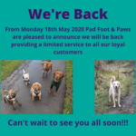 Pad Foot and Paws are back